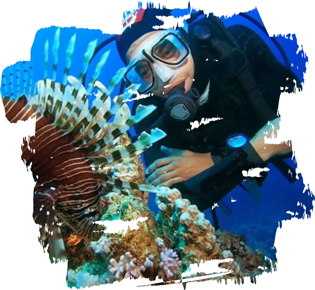Refresher Dives
