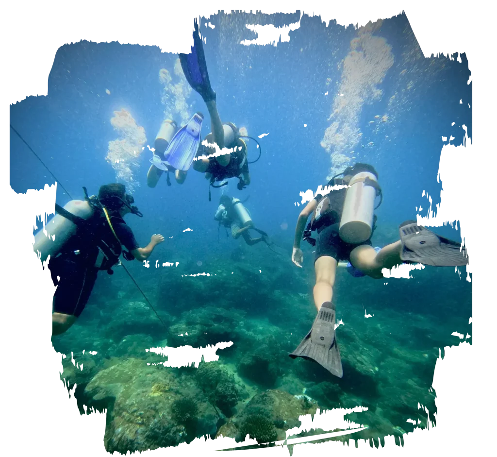 Dive Sites