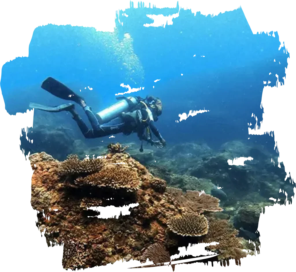 Deep Diving