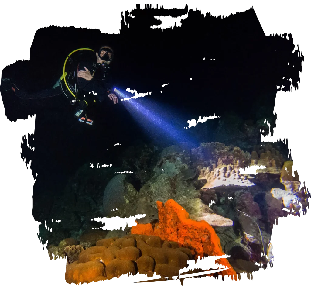 Night Diving