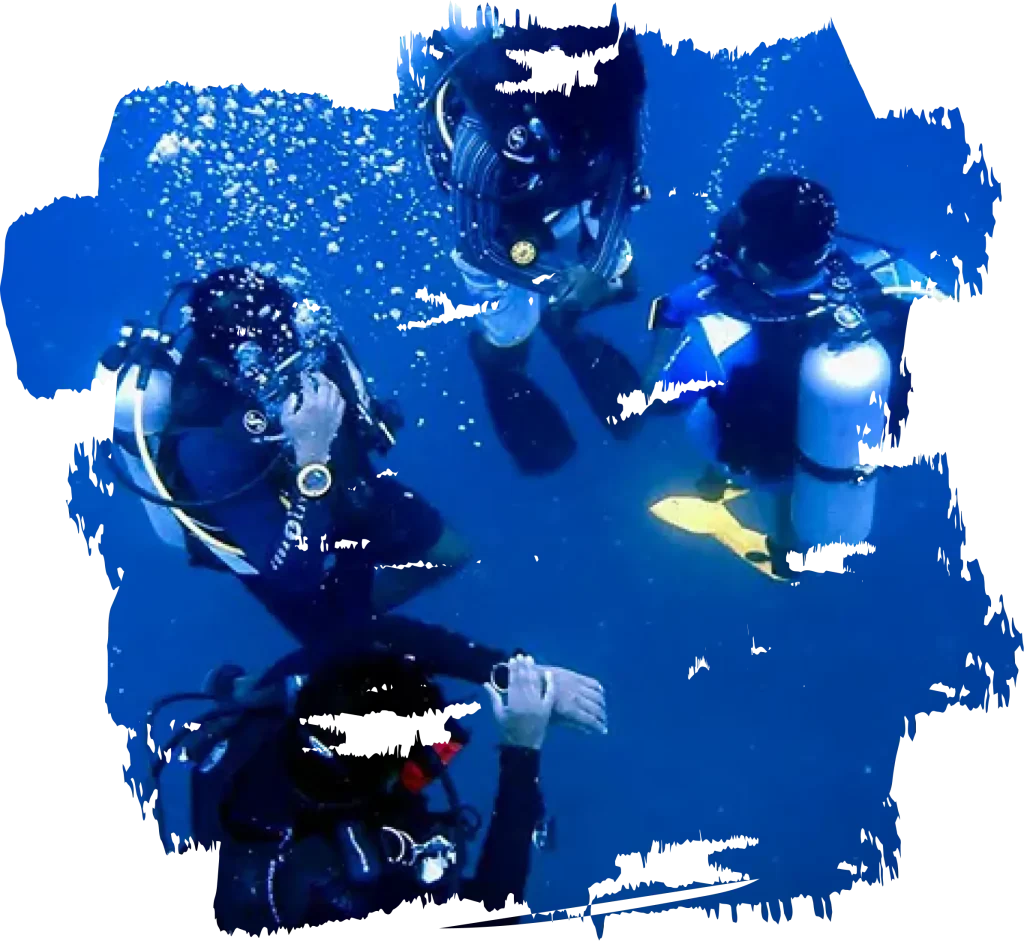 Fun Diving