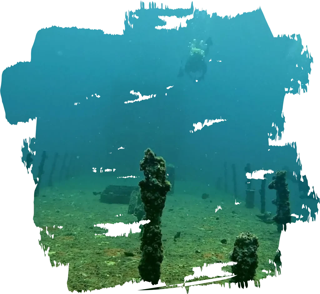 Wreck Diving