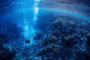 scuba diving in trincomalee