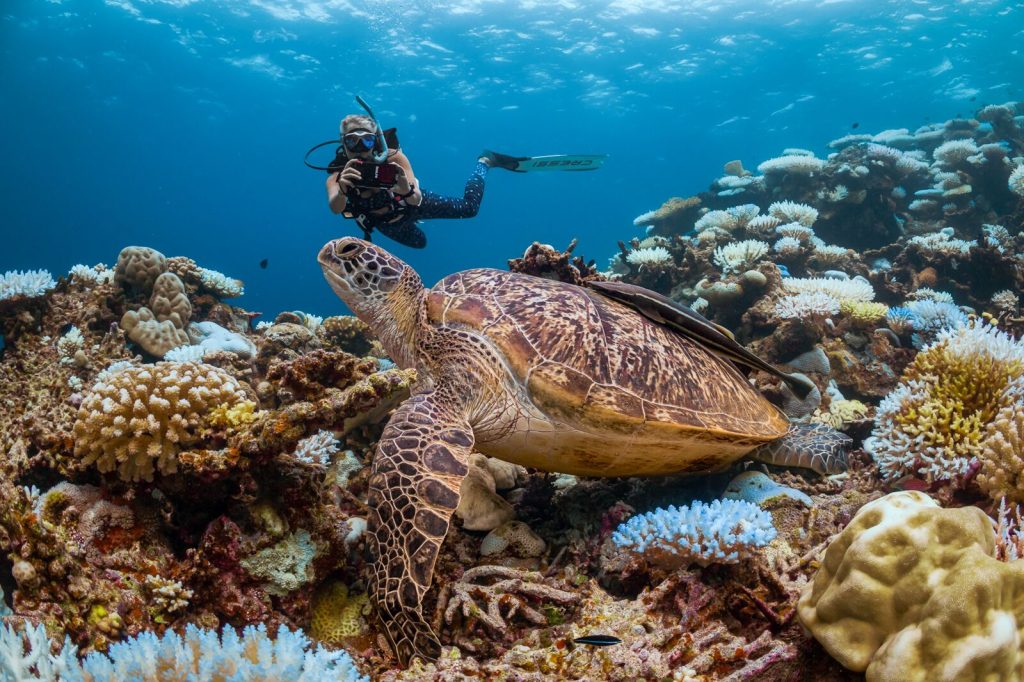 Scuba diving adventure in the clear waters of Trincomalee, Sri Lanka