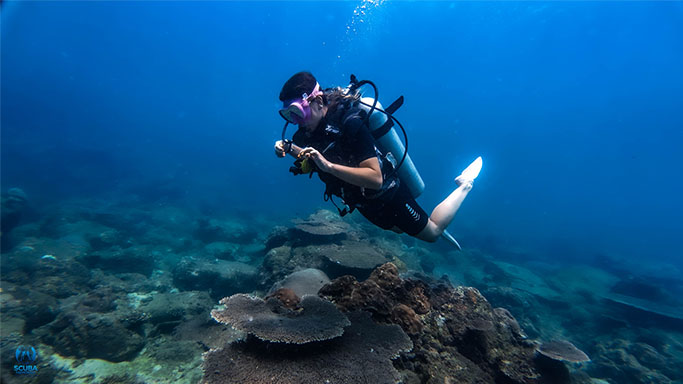 Pigeon Island in Trincomalee